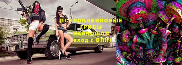крисы Арсеньев